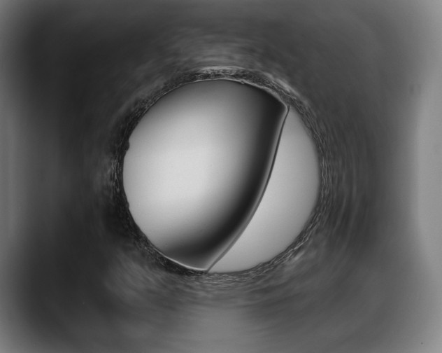 X0000089421351200706150956