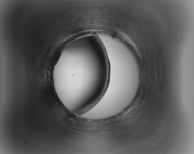 X0000089421352200706150956