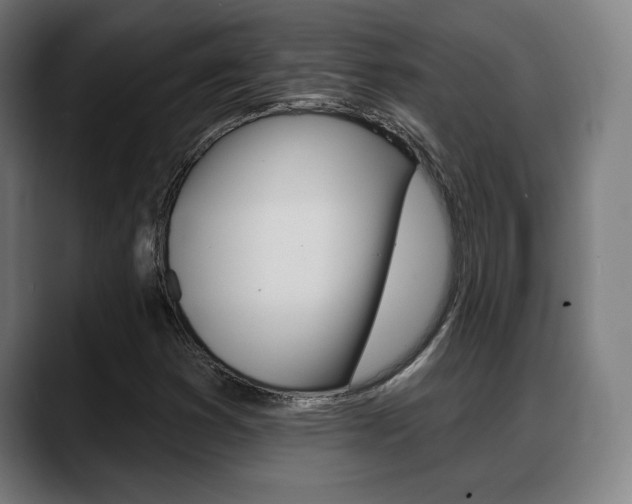 X0000089421353200706150956