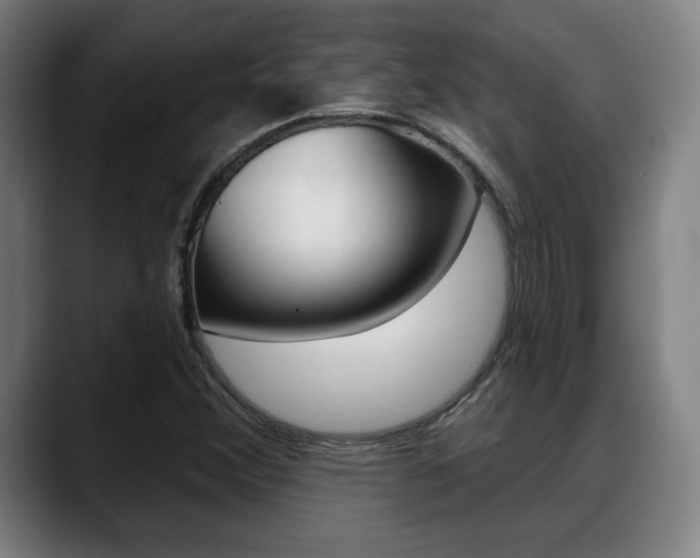 X0000089421356200706150956