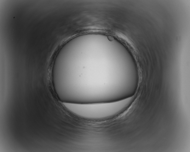 X0000089421357200706150956