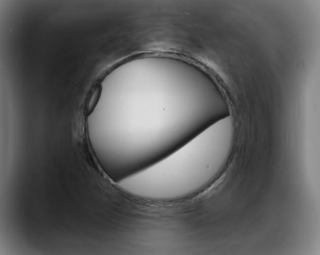 X0000089421358200706150956