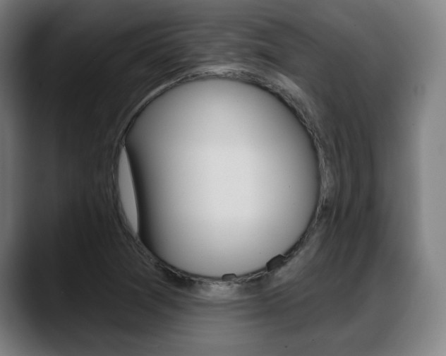 X0000089421361200706150956