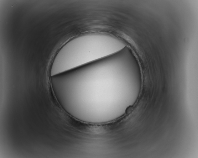 X0000089421362200706150956