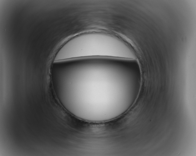 X0000089421363200706150956