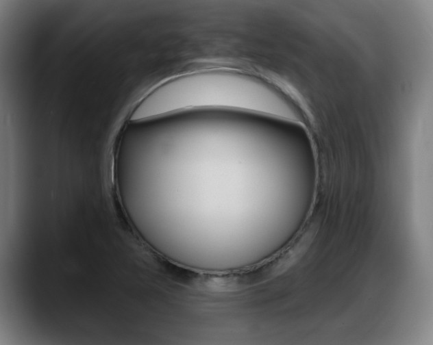 X0000089421365200706150956