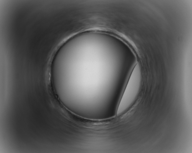 X0000089421367200706150956