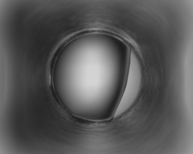 X0000089421368200706150955