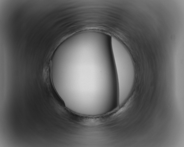 X0000089421369200706150955