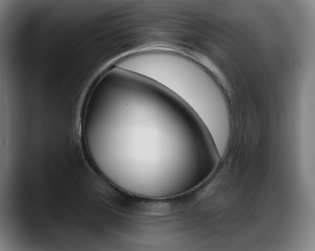 X0000089421372200706150955