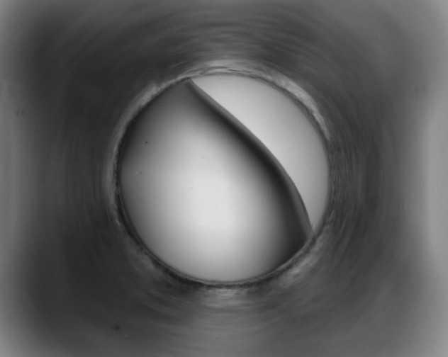 X0000089421373200706150955