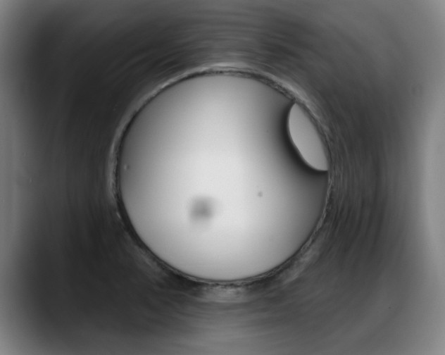 X0000089421374200706150955