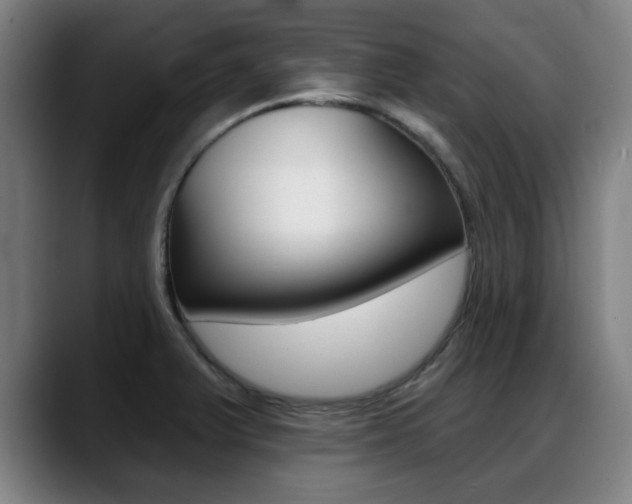 X0000089421375200706150955