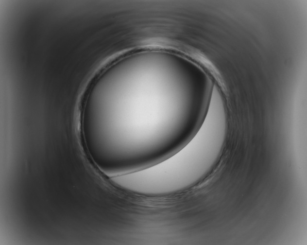 X0000089421376200706150955