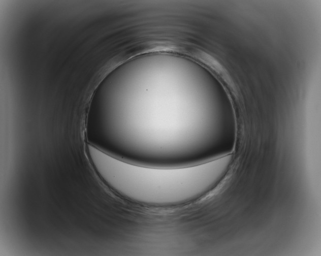 X0000089421377200706150955