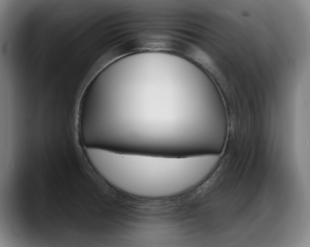 X0000089421378200706150955