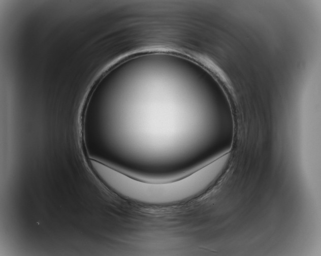 X0000089421380200706150955