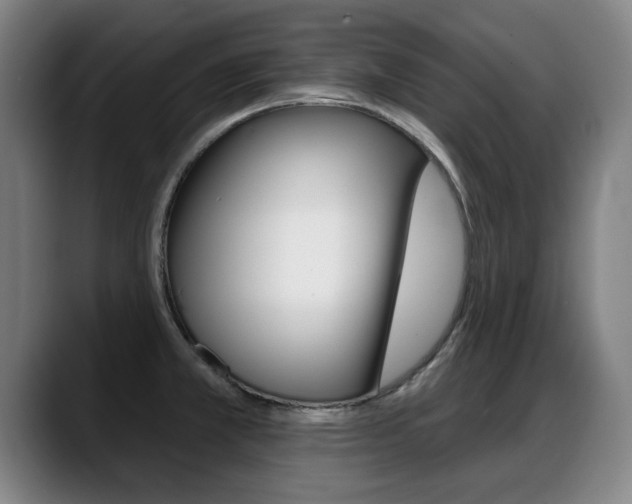 X0000089421381200706150955