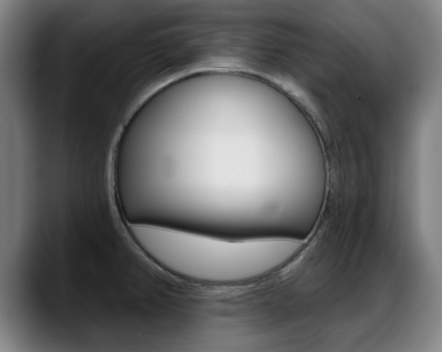 X0000089421382200706150955