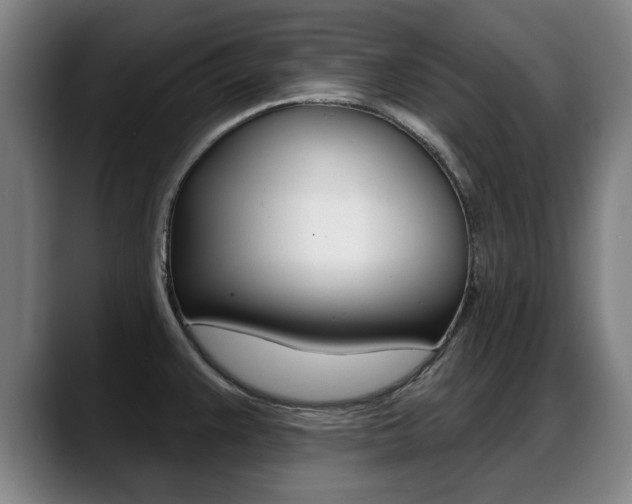 X0000089421383200706150955