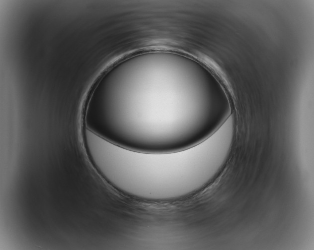 X0000089421384200706150955