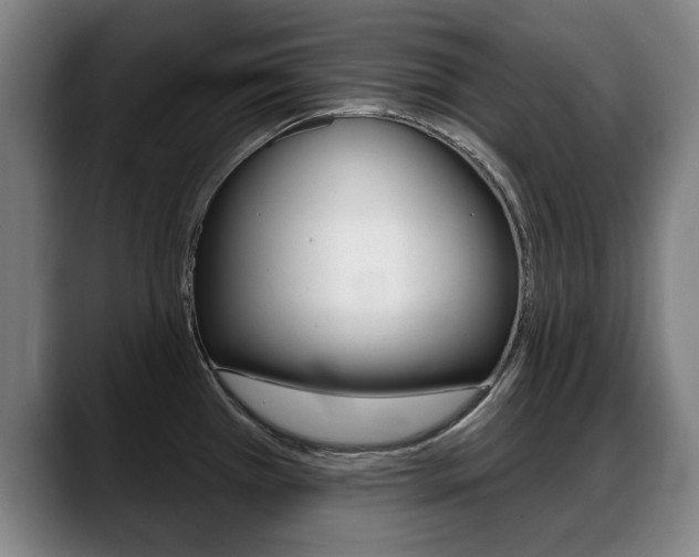 X0000089421385200706150955