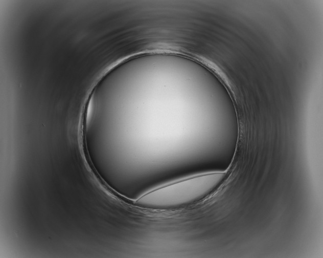 X0000089421387200706150955