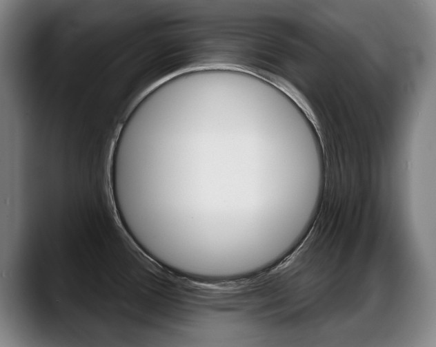 X0000089421388200706150955