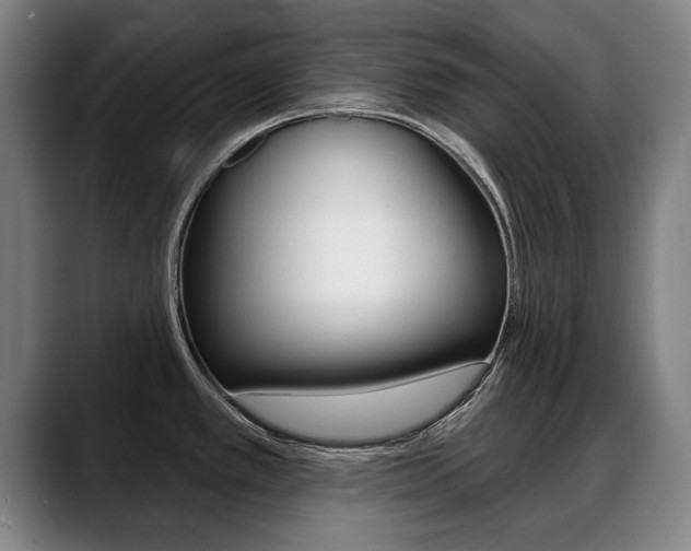 X0000089421389200706150955