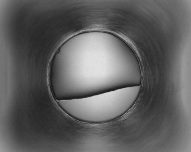 X0000089421390200706150955