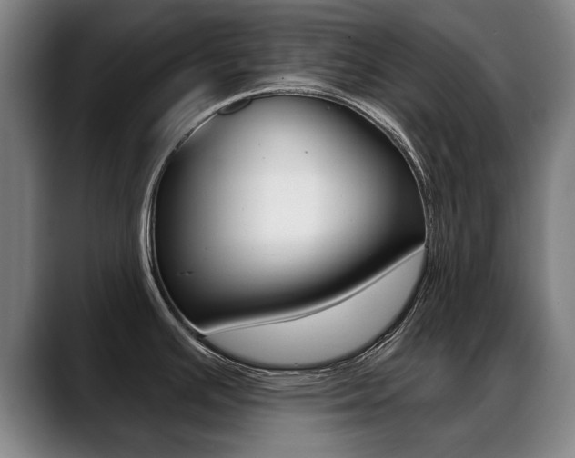 X0000089421391200706150955