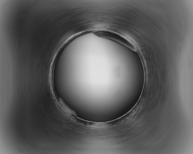 X0000089421392200706150955