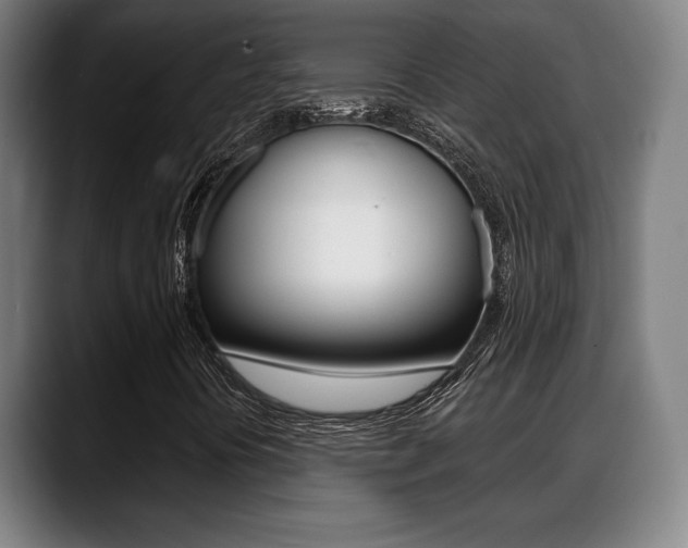X0000089421394200706150955