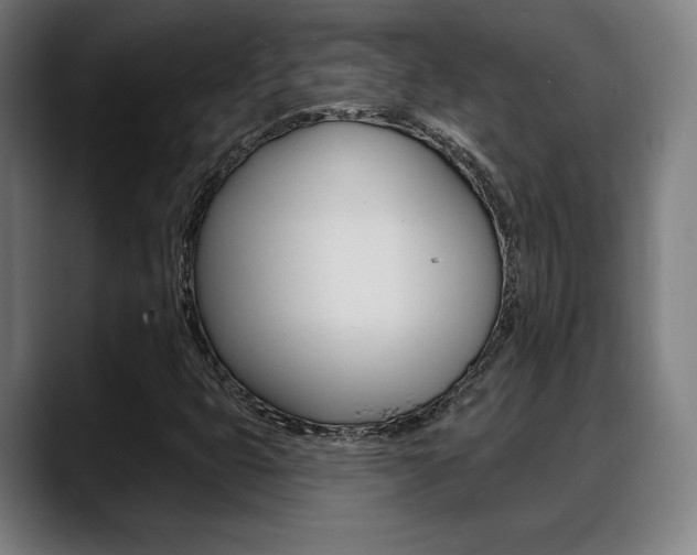 X0000089421399200706150955