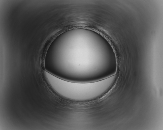 X0000089421402200706150955