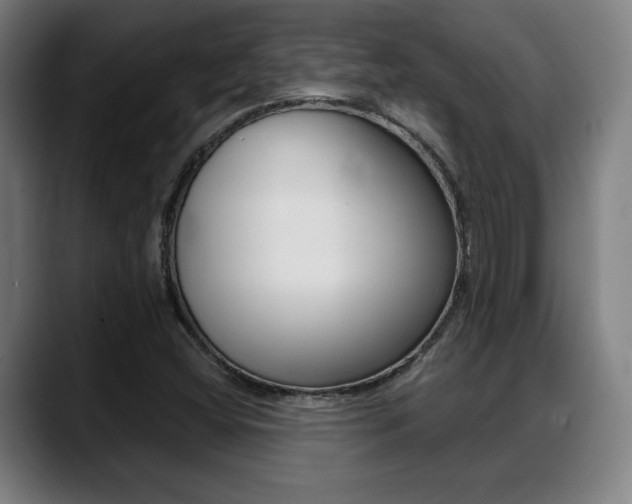 X0000089421404200706150955