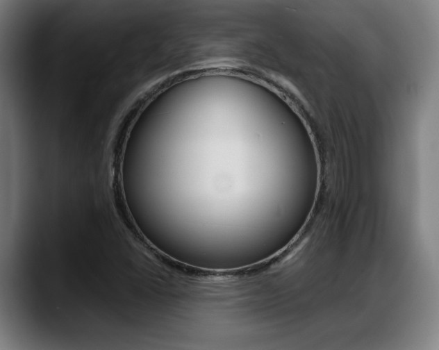X0000089421406200706150955