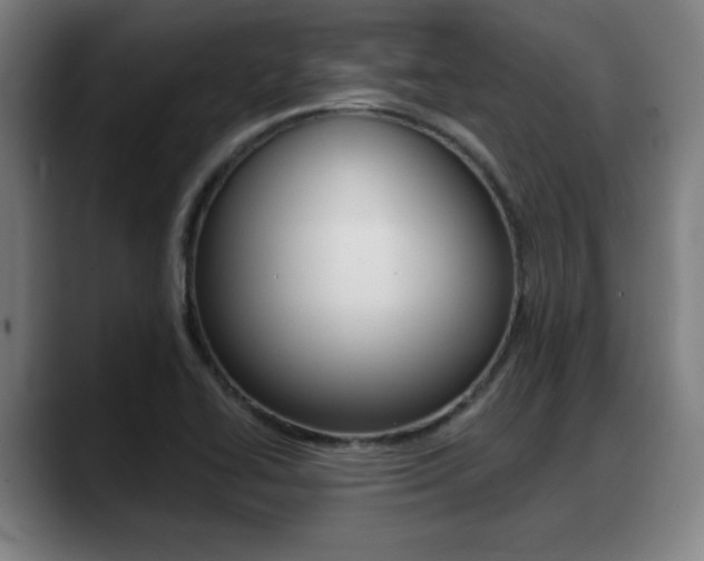 X0000089421414200706150955