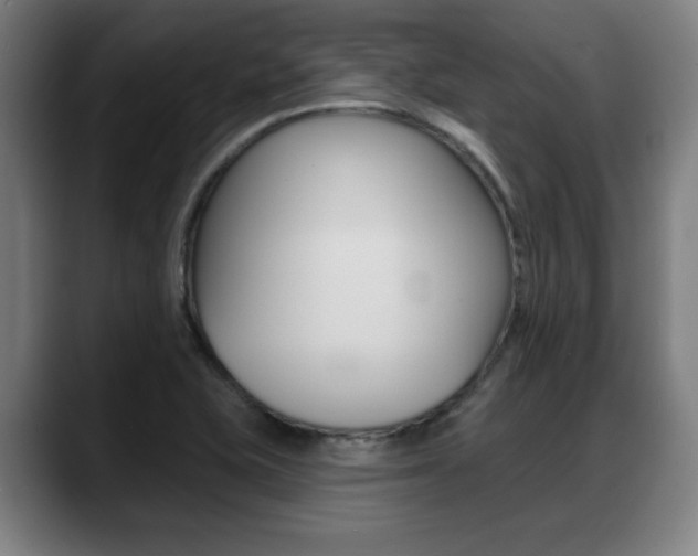 X0000089421415200706150955