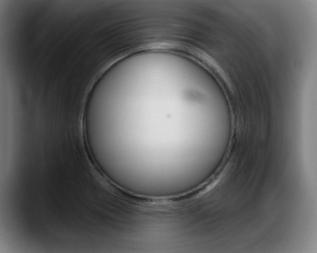X0000089421417200706150955
