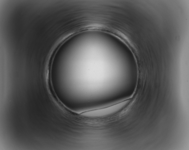 X0000089421418200706150955