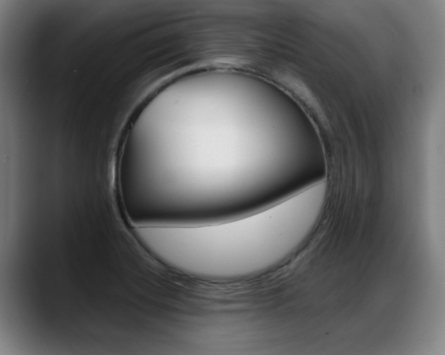 X0000089421420200706150955