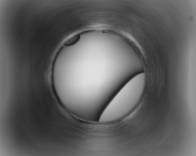X0000089421421200706150955