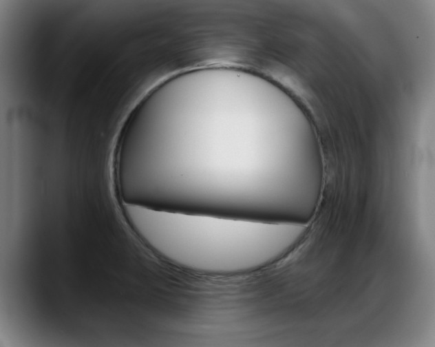 X0000089421423200706150955