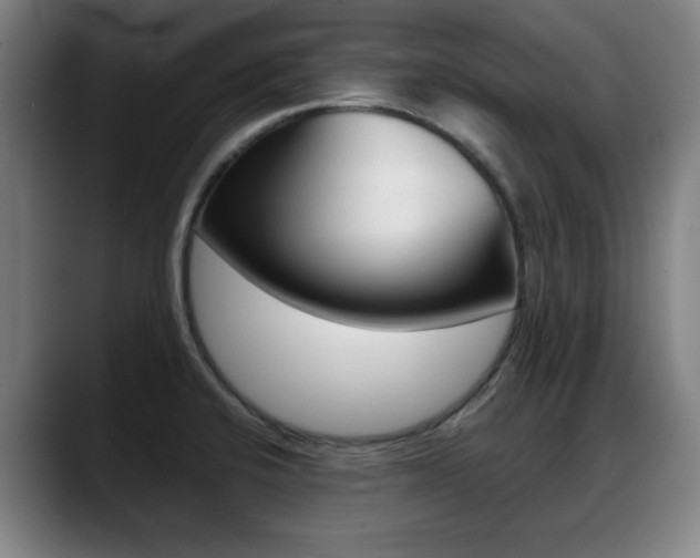 X0000089421424200706150955