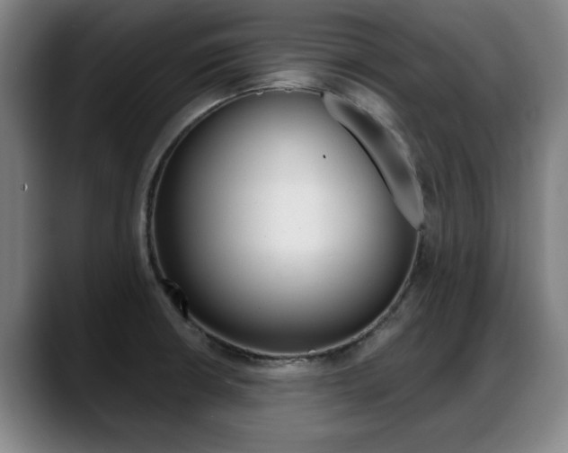 X0000089421426200706150955