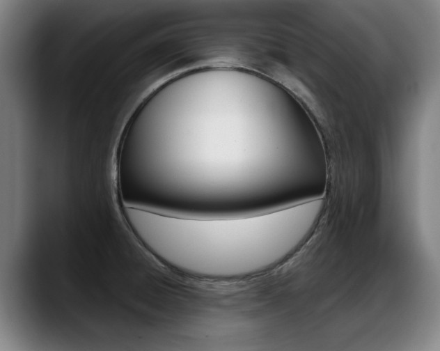 X0000089421428200706150955
