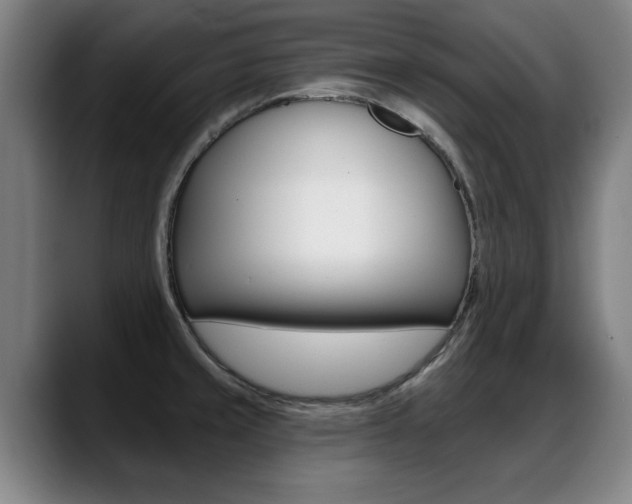 X0000089421429200706150955