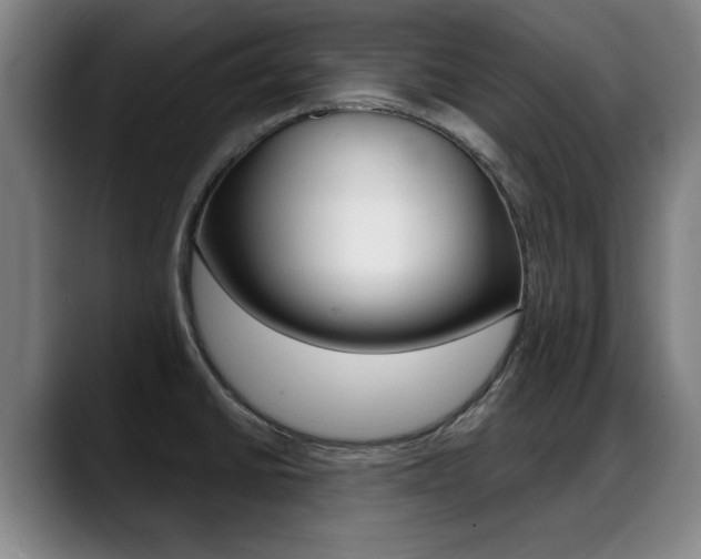 X0000089421430200706150955
