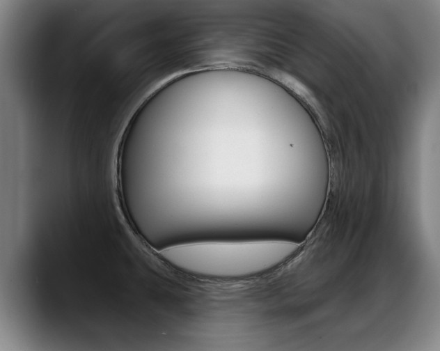 X0000089421431200706150955
